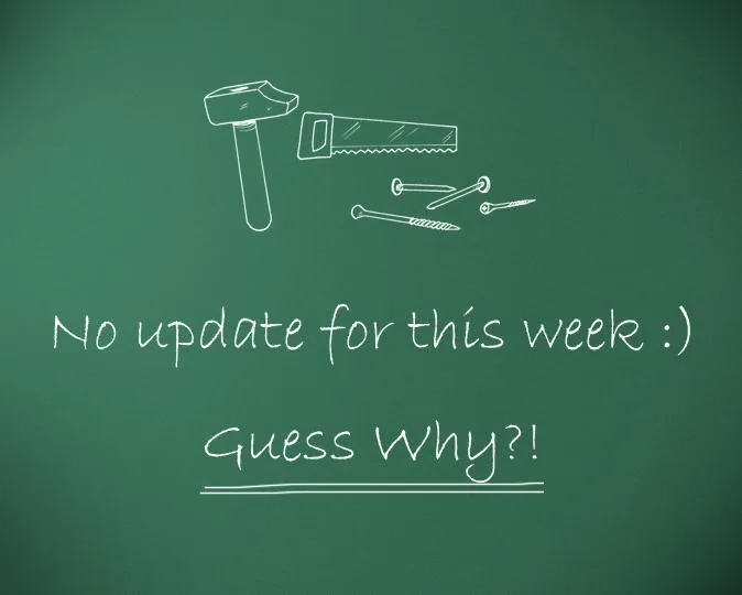 No Beautiful Update This Week